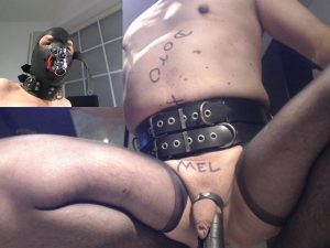 real blackmail slave testicle weights stretcher torture